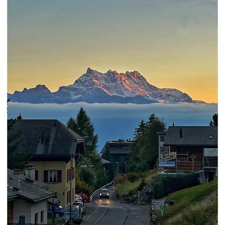Chalet Serpolet - Appartement Leysin Exterior foto