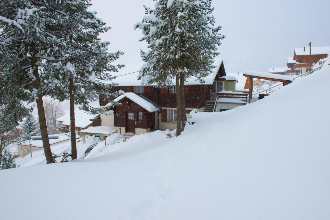 Chalet Serpolet - Appartement Leysin Exterior foto