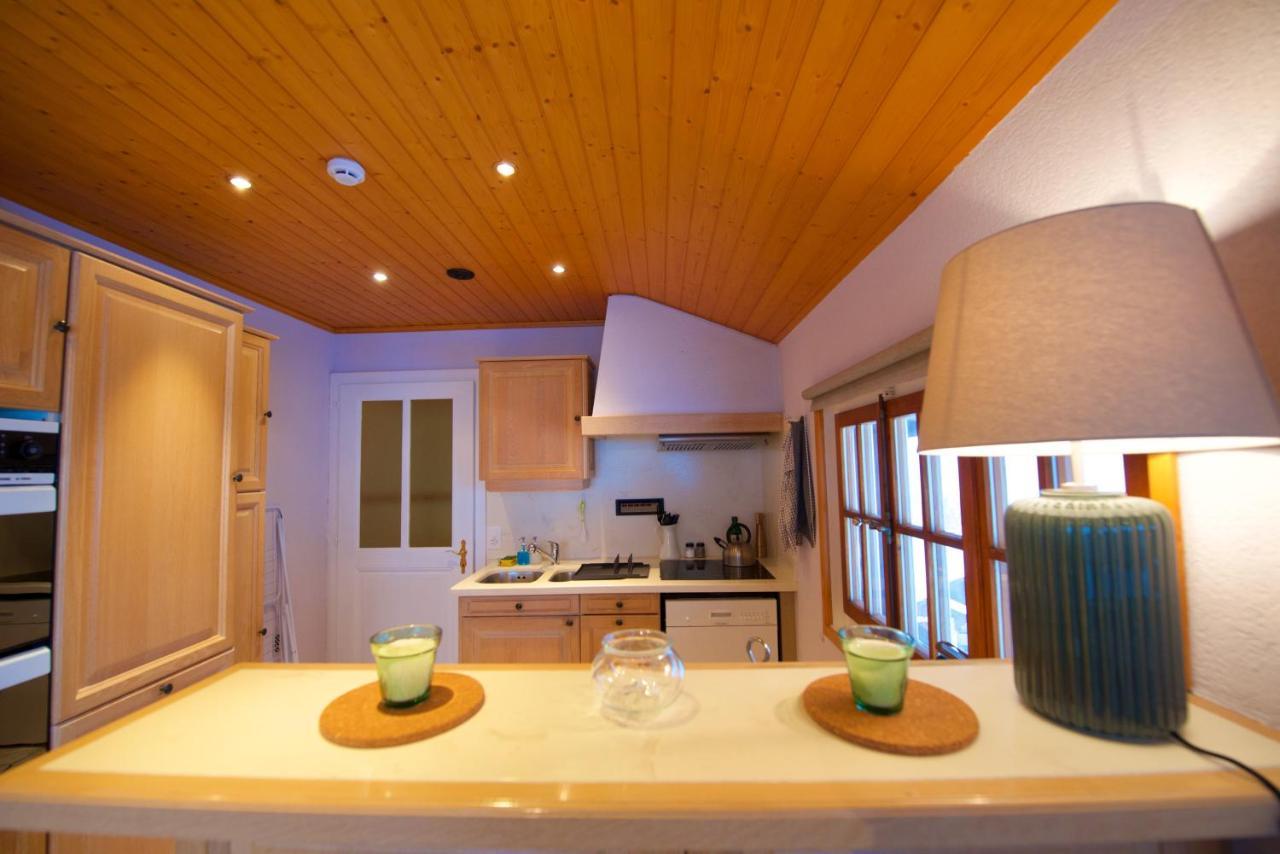 Chalet Serpolet - Appartement Leysin Exterior foto